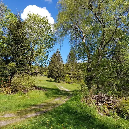 32 Im Ferienland Sonnenwald - Bayerischer Wald * Schöfweg