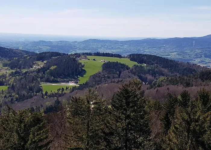 32 Im Ferienland Sonnenwald - Bayerischer Wald Schöfweg