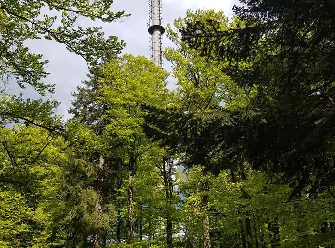 32 Im Ferienland Sonnenwald - Bayerischer Wald Appartamento *