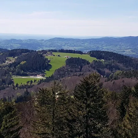 32 Im Ferienland Sonnenwald - Bayerischer Wald Schöfweg