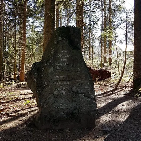 32 Im Ferienland Sonnenwald - Bayerischer Wald Apartment *