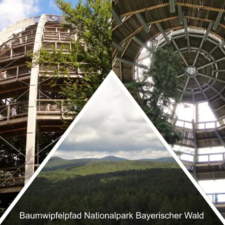 32 Im Ferienland Sonnenwald - Bayerischer Wald Apartment *