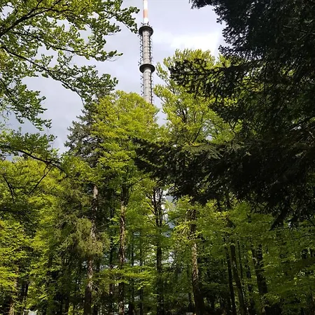 32 Im Ferienland Sonnenwald - Bayerischer Wald Apartment *