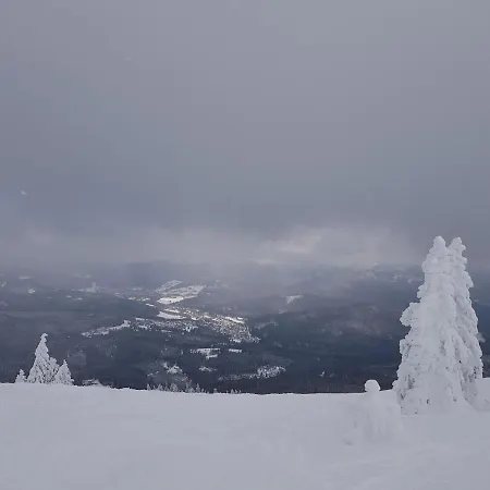 32 Im Ferienland Sonnenwald - Bayerischer Wald Schöfweg