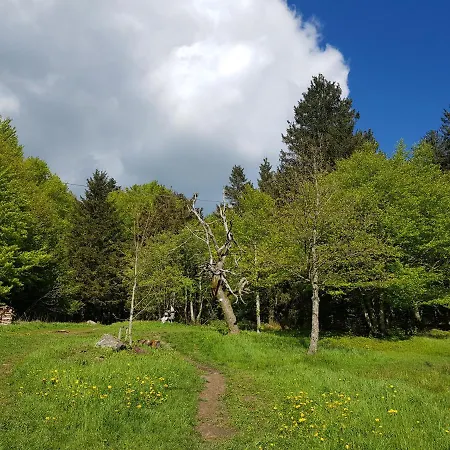 32 Im Ferienland Sonnenwald - Bayerischer Wald Apartment