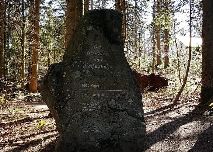 32 Im Ferienland Sonnenwald - Bayerischer Wald Appartement *