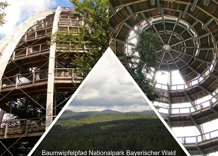 32 Im Ferienland Sonnenwald - Bayerischer Wald Appartement *