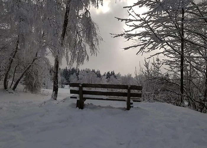 32 Im Ferienland Sonnenwald - Bayerischer Wald Schöfweg
