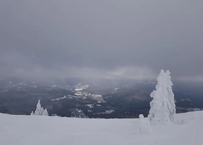 32 Im Ferienland Sonnenwald - Bayerischer Wald Schöfweg